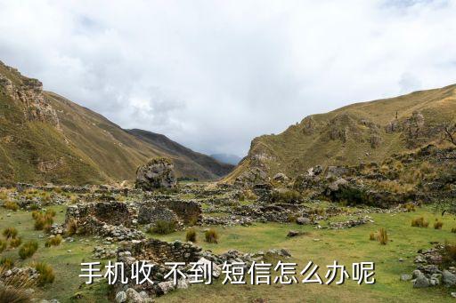 魅藍E收不到短信,藍飛機收不到短信...